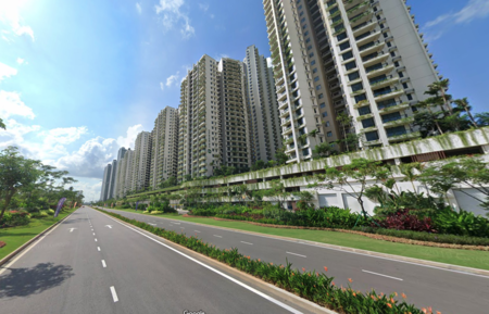 Forest City 123