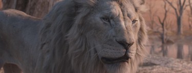 'Mufasa: El Rey León' constata la cruda realidad del cine actual: el público ya no quiere ver películas originales