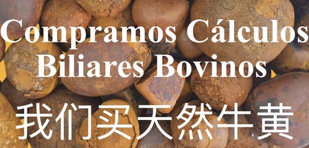 compramos cálculos biliares
