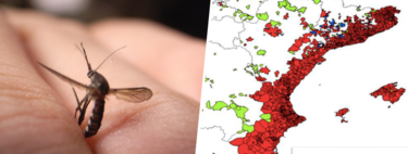 España tiene un problema con los mosquitos y ya hay 100.000 personas en Sevilla que han empezado a darse cuenta 