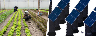 Unos investigadores colombianos han solucionado uno de los problemas de la agrovoltaica: cómo aprovechar la lluvia
