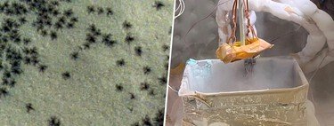 El misterio de las arañas de Marte ya tiene respuesta: la NASA ha conseguido recrearlas en la Tierra