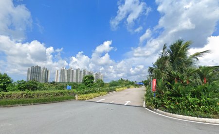 Forest City 15