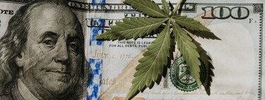 El cannabis es hoy una industria millonaria en EEUU. Problema: se apoya en una burbuja a punto de explotar