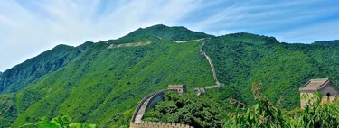 China está llevando a cabo el proyecto de reforestación más ambicioso del mundo: un "muro" de 4.500 kilómetros de árboles
