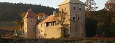China se obsesionó tanto por el vino francés que sus millonarios compraron "chateaux" en Burdeos. Ahora llega la resaca