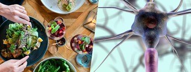 Cada vez sabemos más sobre por qué tenemos hambre o sed. Y el principal sospechoso es nuestro cerebro