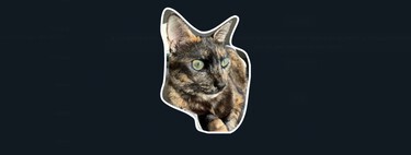 Cómo crear stickers con tus fotos en WhatsApp Web o WhatsApp para PC y Mac sin usar aplicaciones ni webs de terceros 
