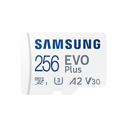 Samsung EVO Plus (microSDXC, 256 GB)