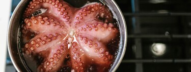 Nunca llueve a gusto de todos: acabamos de descubrir que las precipitaciones han causado estragos en el pulpo gallego