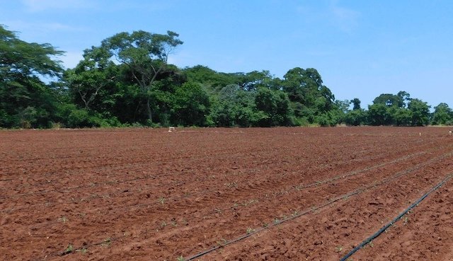 Cooperativa El Bosque