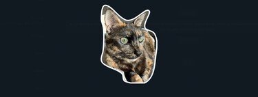 Cómo crear stickers con tus fotos en WhatsApp Web o WhatsApp para PC y Mac sin usar aplicaciones ni webs de terceros 
