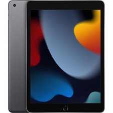 iPad (2021, 256 GB)