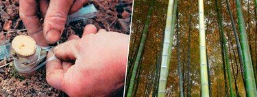 El petróleo moderno no inventó nada. China ya extraía gas natural hace 2.000 años y lo transportaba por tuberías de bambú