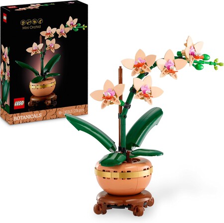 Botanical Miniorquídea