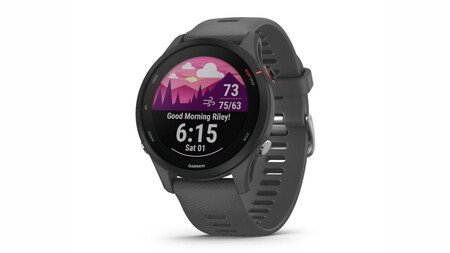 Garmin Forerunner 255