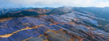China ha estado tan cerca de morir de éxito con sus paneles solares que ha tomado la única decisión lógica: fabricar menos