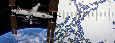 El problema no es que hayamos encontrado bacterias en una estación espacial. El problema es que es una especie nueva