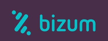 Bizum en la Renta 2024: qué ingresos y pagos tienes que declarar y cómo hacerlo en la declaración de este 2025